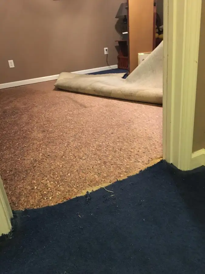 Carpet pad removal revealing water damage during Water Mitigation Services in Sedro-Woolley