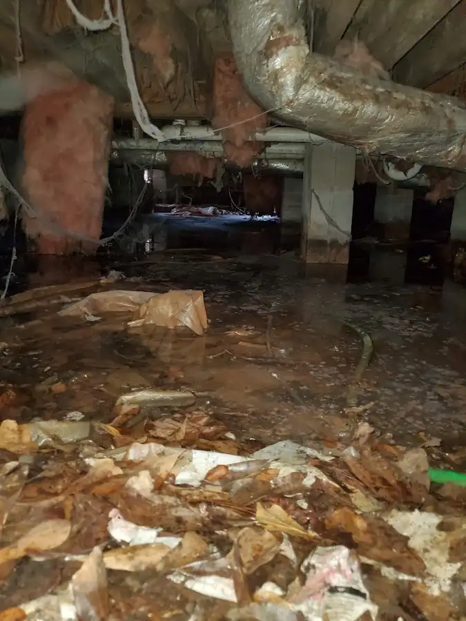 Crawl space flood assessment for Leak Detection & Repair in Sedro-Woolley