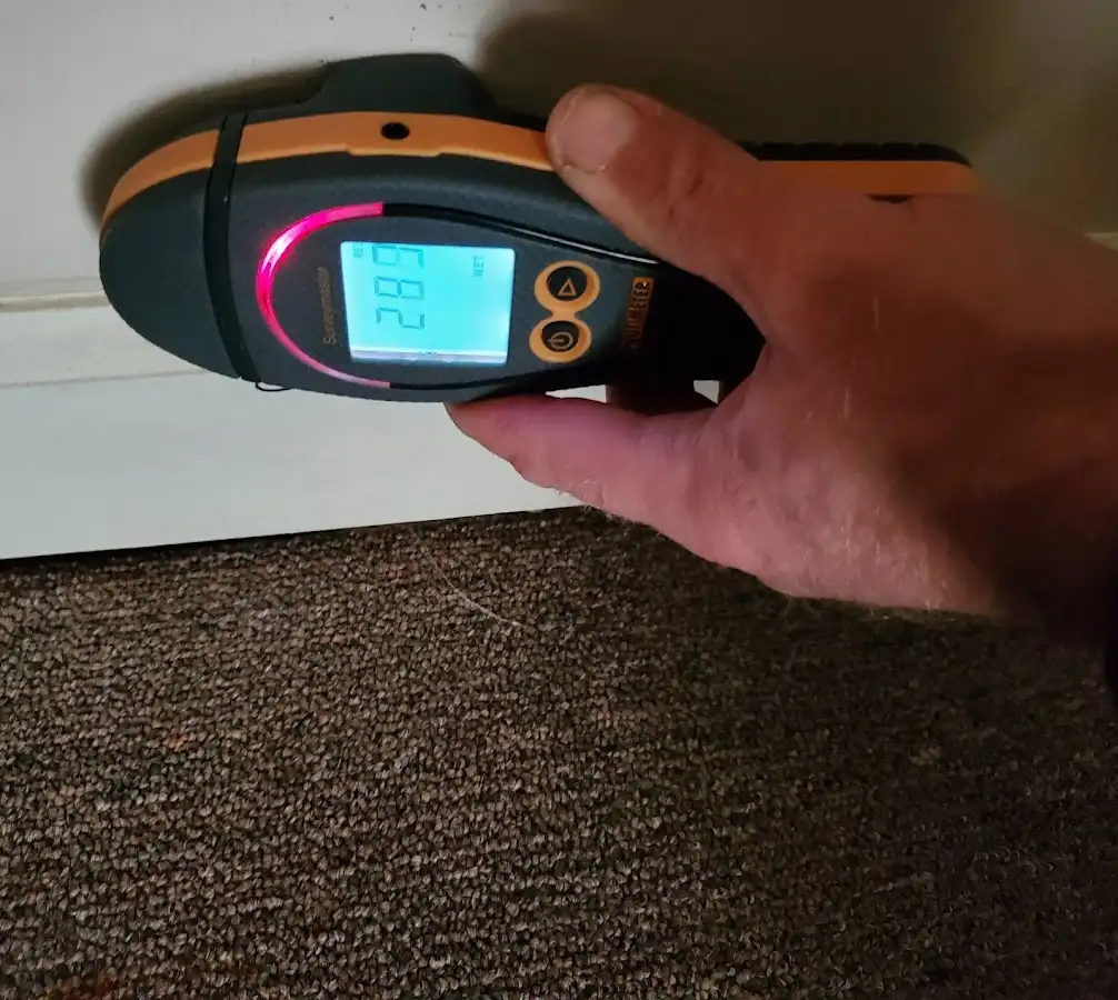 Moisture detection at baseboard during Sewage Cleanup & Sanitation in Sedro-Woolley